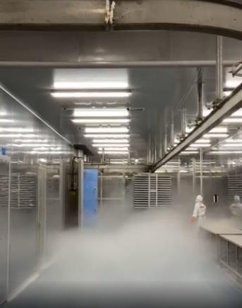 探廠國內寵物食品凍干廠 國產凍干品質如何，L-羥脯氨酸生產的關鍵作用